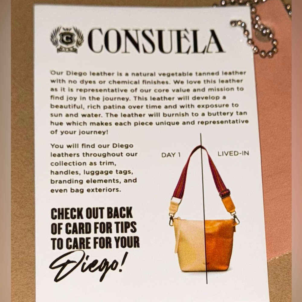 Consuela Diego Wedge Crossbody Bag with (2) straps - Picture 3 of 13